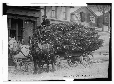 Load of Christmas Trees
